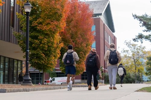 UConn大學生漫步在校園楓紅的背影