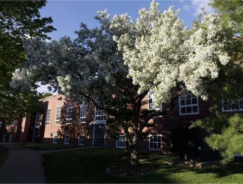 米爾頓學院 Milton Academy