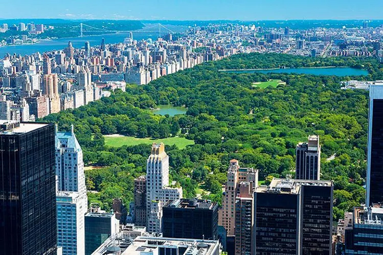 Kaplan 紐約中央公園分校 Kaplan NY Central Park New York