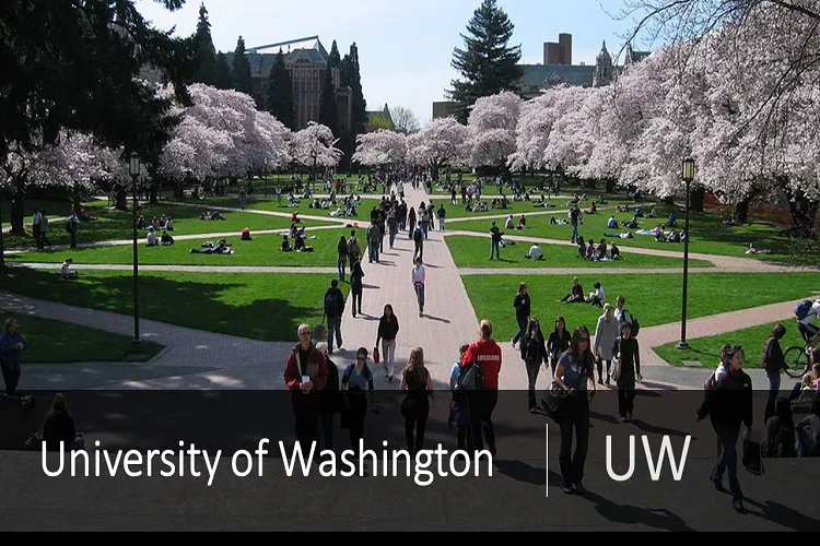 UW西雅圖華盛頓大學語言學校 University of Washington STEP /全球商業證書