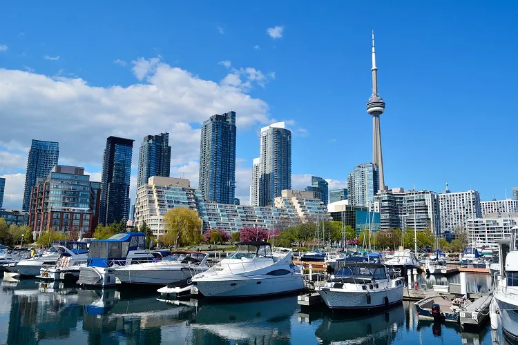 LSI 多倫多分校 LSI Toronto