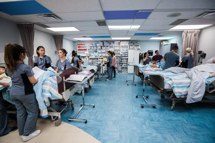 護士研究生文憑+有薪實習 Post-Graduate Certificate in Nursing with Co-op