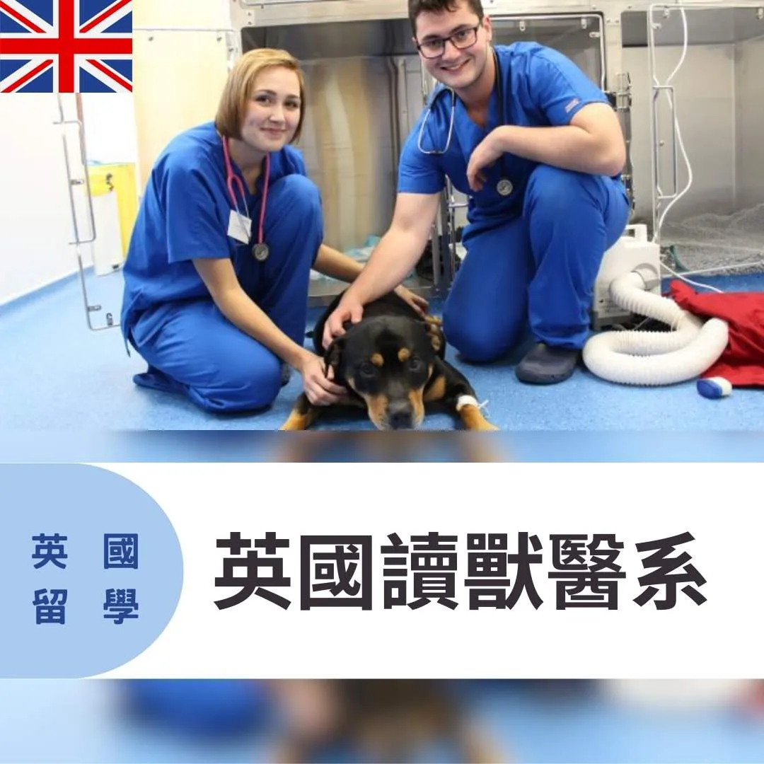【英國留學】英國讀獸醫系